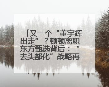 又一个“董宇辉出走”？顿顿离职东方甄选背后：“去头部化”战略再遭考验