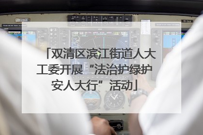 双清区滨江街道人大工委开展“法治护绿护安人大行”活动