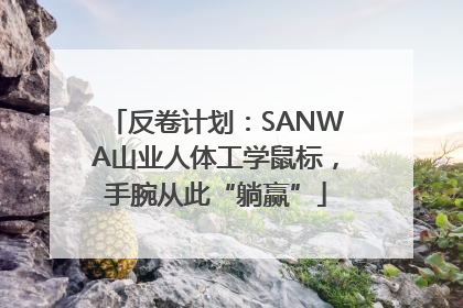 反卷计划：SANWA山业人体工学鼠标，手腕从此“躺赢”