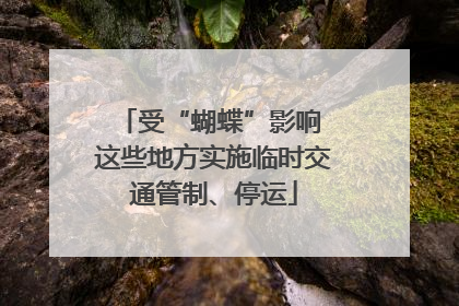 受“蝴蝶”影响 这些地方实施临时交通管制、停运