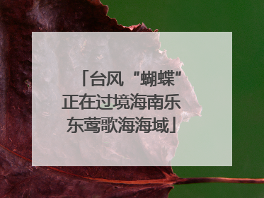 台风“蝴蝶”正在过境海南乐东莺歌海海域