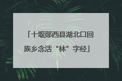 十堰郧西县湖北口回族乡念活“林”字经