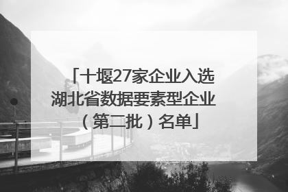十堰27家企业入选湖北省数据要素型企业（第二批）名单
