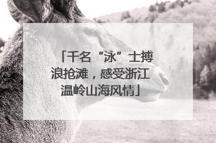 千名“泳”士搏浪抢滩，感受浙江温岭山海风情