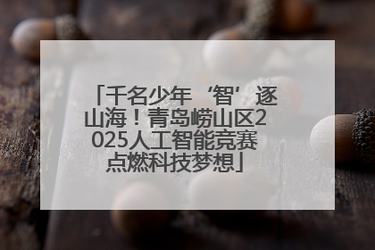 千名少年‘智’逐山海！青岛崂山区2025人工智能竞赛点燃科技梦想