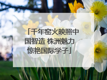 千年窑火映照中国智造 株洲魅力惊艳国际学子