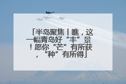 半岛聚焦丨瞧，这一幅青岛好“丰”景！愿你“芒”有所获，“种”有所得