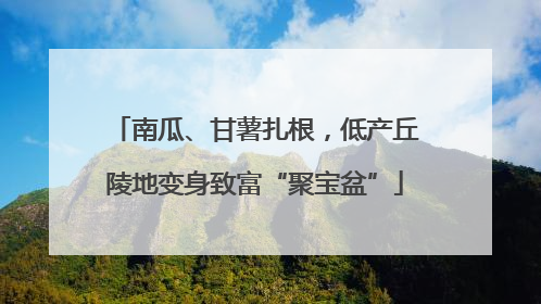 南瓜、甘薯扎根，低产丘陵地变身致富“聚宝盆”