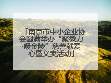 南京市中小企业协会圆满举办“聚微力·暖金陵”慈善献爱心暨义卖活动