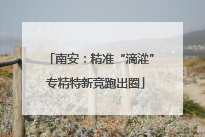 南安：精准“滴灌”专精特新竞跑出圈
