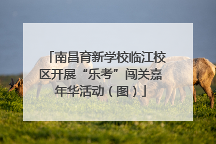 南昌育新学校临江校区开展“乐考”闯关嘉年华活动（图）