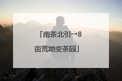南茶北引→8亩荒地变茶园