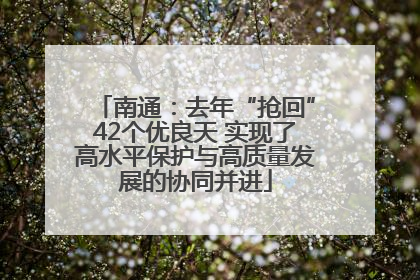 南通：去年“抢回”42个优良天 实现了高水平保护与高质量发展的协同并进