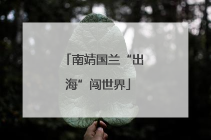 南靖国兰“出海”闯世界