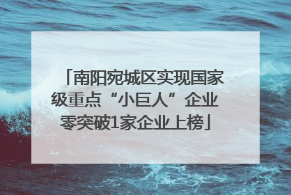 南阳宛城区实现国家级重点“小巨人”企业零突破1家企业上榜