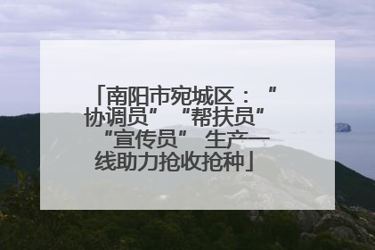 南阳市宛城区：“协调员”“帮扶员”“宣传员” 生产一线助力抢收抢种