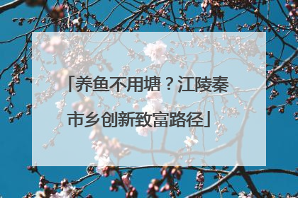 养鱼不用塘？江陵秦市乡创新致富路径