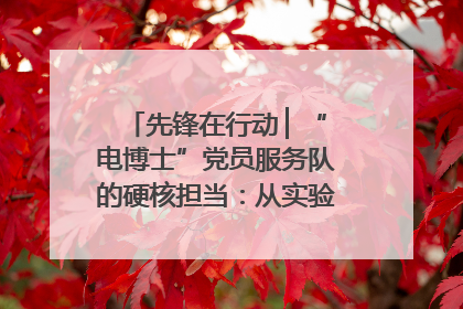 先锋在行动 ▏“电博士”党员服务队的硬核担当：从实验室到抗洪一线