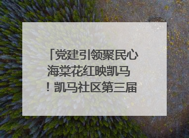党建引领聚民心 海棠花红映凯马！凯马社区第三届邻里生活节谱写幸福新篇章