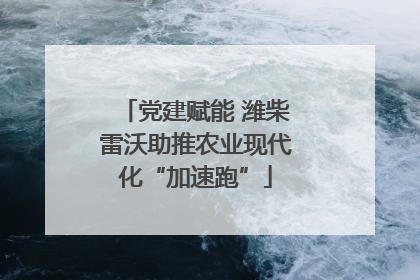 党建赋能 潍柴雷沃助推农业现代化“加速跑”