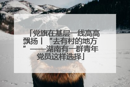 党旗在基层一线高高飘扬丨“去有村的地方”——湖南有一群青年党员这样选择