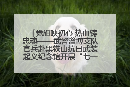 党旗映初心 热血铸忠魂——武警淄博支队官兵赴黑铁山抗日武装起义纪念馆开展“七一”主题党日活动
