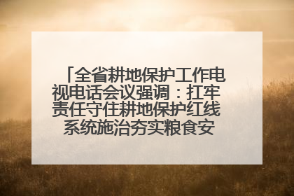 全省耕地保护工作电视电话会议强调：扛牢责任守住耕地保护红线 系统施治夯实粮食安全根基 王宁作出批示 王予波出席并讲话