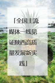 全国主流媒体一线见证陕西高质量发展新实践