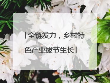 全链发力，乡村特色产业拔节生长