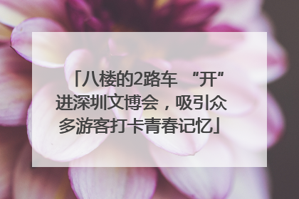 八楼的2路车 “开” 进深圳文博会，吸引众多游客打卡青春记忆