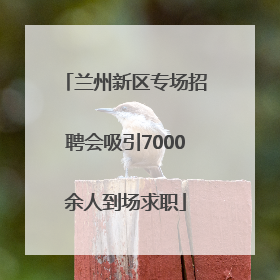 兰州新区专场招聘会吸引7000余人到场求职