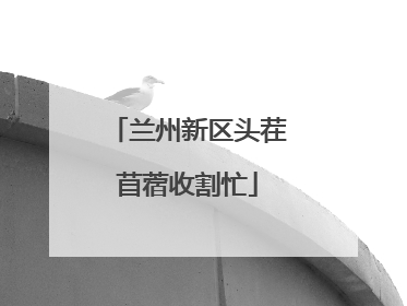 兰州新区头茬苜蓿收割忙