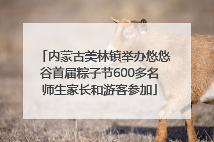内蒙古美林镇举办悠悠谷首届粽子节600多名师生家长和游客参加