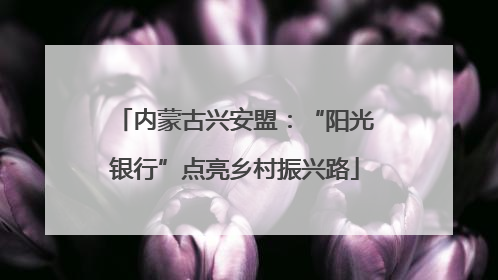 内蒙古兴安盟：“阳光银行”点亮乡村振兴路