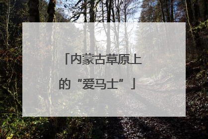 内蒙古草原上的“爱马士”
