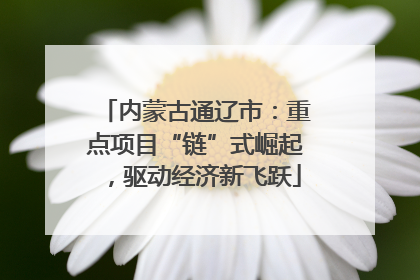 内蒙古通辽市：重点项目“链”式崛起，驱动经济新飞跃