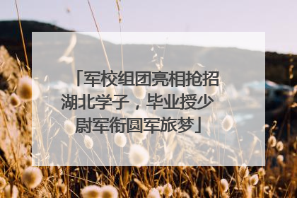 军校组团亮相抢招湖北学子，毕业授少尉军衔圆军旅梦