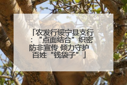 农发行绥宁县支行：“点面结合”织密防非宣传 倾力守护百姓“钱袋子”