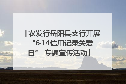 农发行岳阳县支行开展“6·14信用记录关爱日” 专题宣传活动