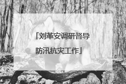 刘革安调研督导防汛抗灾工作