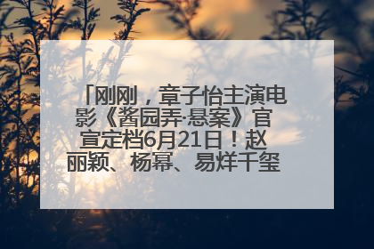 刚刚，章子怡主演电影《酱园弄·悬案》官宣定档6月21日！赵丽颖、杨幂、易烊千玺等角色海报曝光