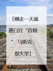 刚走一天就遭白宫“背刺” 马斯克：很失望