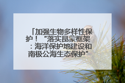 加强生物多样性保护！“落实昆蒙框架：海洋保护地建设和南极公海生态保护”主题论坛将举办