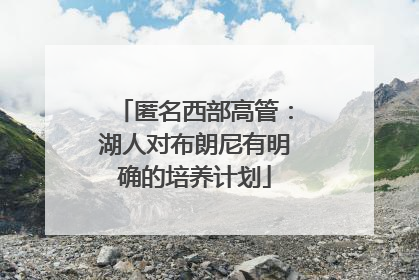 匿名西部高管：湖人对布朗尼有明确的培养计划