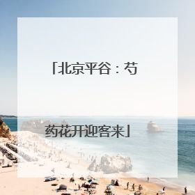 北京平谷：芍药花开迎客来