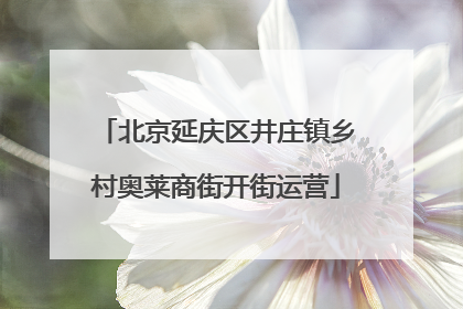 北京延庆区井庄镇乡村奥莱商街开街运营