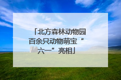 北方森林动物园百余只动物萌宝“六一”亮相