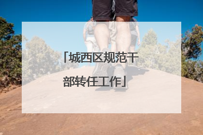 城西区规范干部转任工作