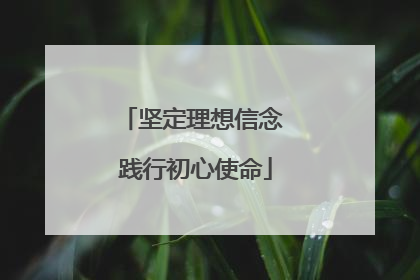坚定理想信念 践行初心使命