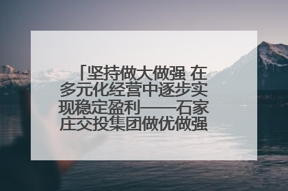 坚持做大做强 在多元化经营中逐步实现稳定盈利——石家庄交投集团做优做强典型报道之三